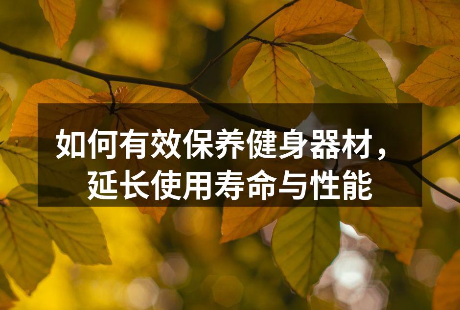如何有效保养健身器材，延长使用寿命与性能