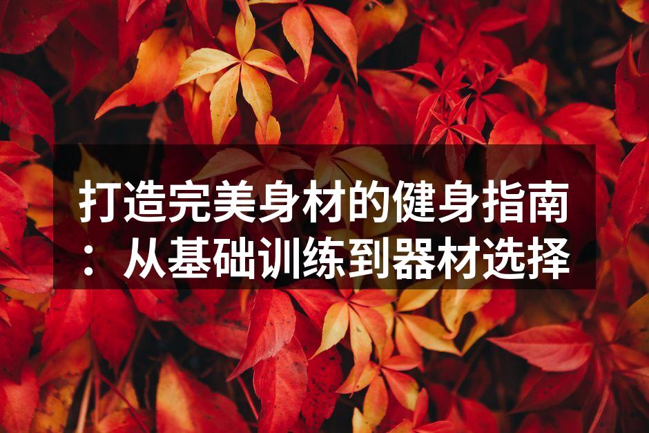 打造完美身材的健身指南：从基础训练到器材选择