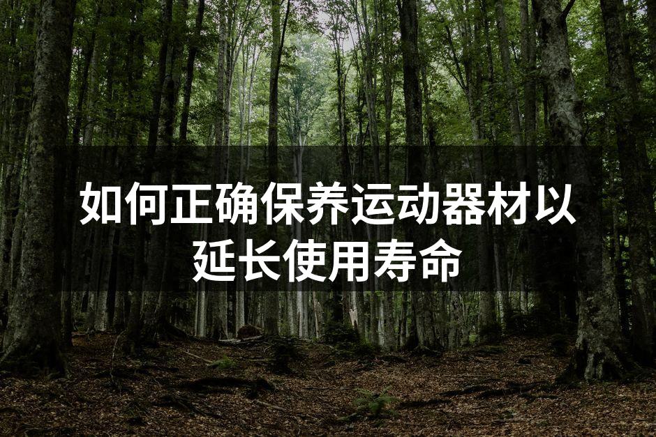 如何正确保养运动器材以延长使用寿命