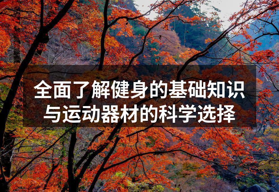 全面了解健身的基础知识与运动器材的科学选择